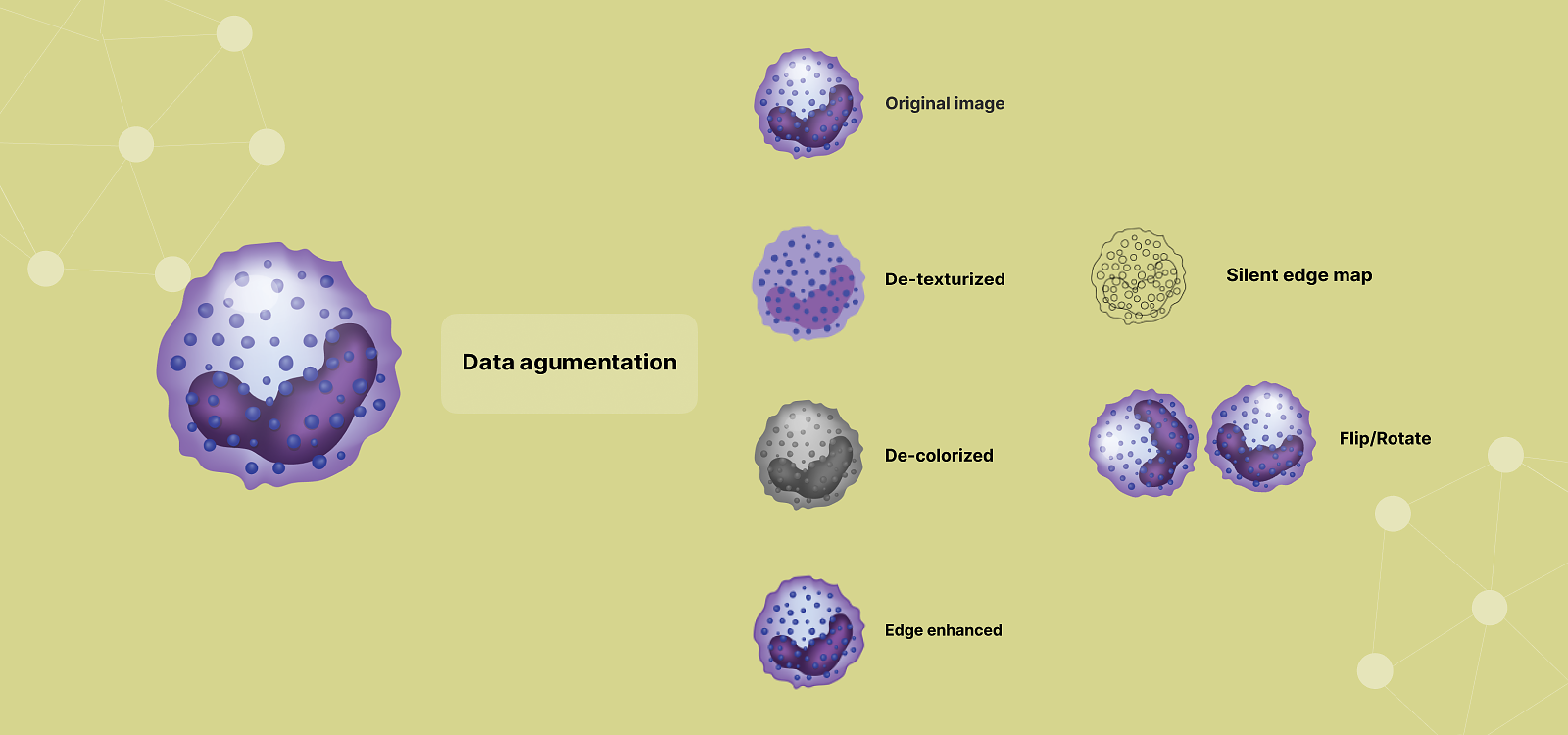 Data augmentation