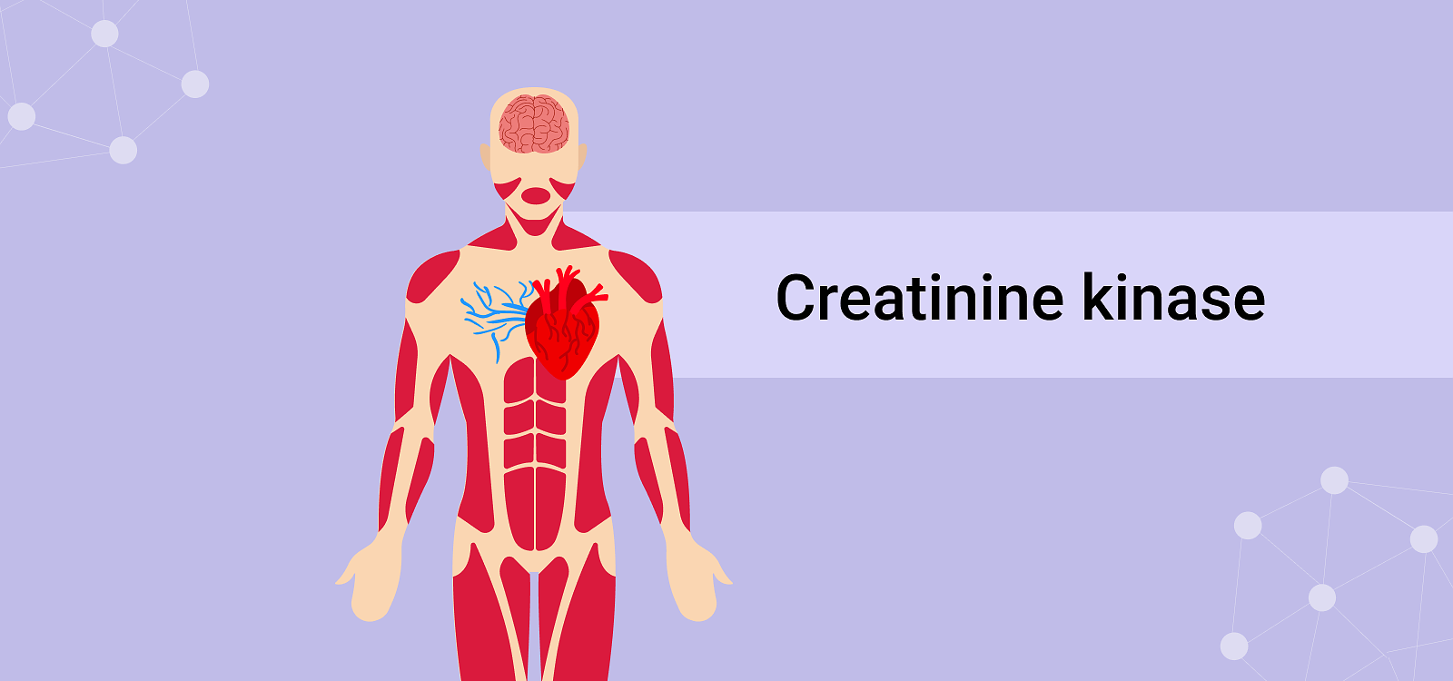 Parameter Tuesday: CREATININE KINASE 