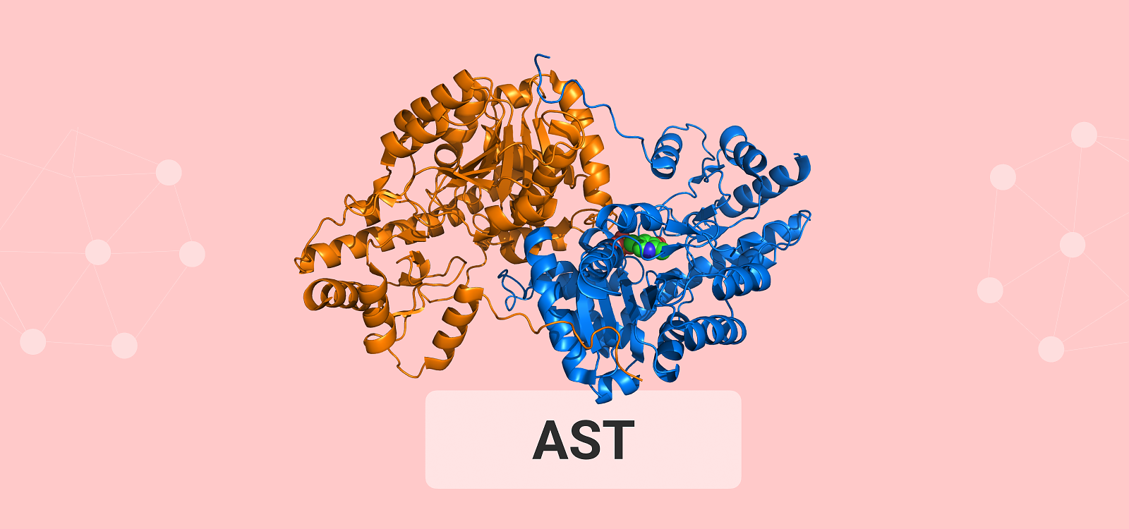 Parameter Tuesday: ASPARTATE TRANSFERASE 